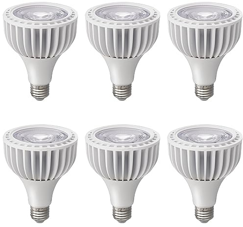 TPMAFF PAR30 Spotlight LED-Glühbirne, 40 Watt COB (300 Watt Äquivalent), 4000 Lumen, dimmbare Glühbirne, E27-Sockel, AC 220–240 V, PAR30 Flutlicht-Einbau-Glühbirnen (6 Stück)