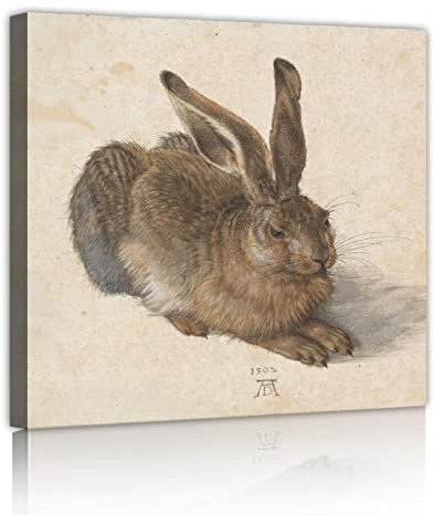 TOANGWALL Junger Hase Von Albrecht düRer Berühmte Gemälde Modernes ästhetisches Design Leinwanddrucke Wandbilder Bild für Wohnkultur Galerie Eingewickelt 70x70cm Innenrahmen