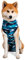Suitical Recovery Suit Hund, XXL, Blau Camouflage