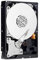 Calstesupplies WD Av 500 Gb 3,5 pollici 64 MB cache disco rigido