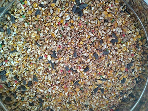 Vogelfutter Fuer unsere Wildvoegel in Park & Garten 10 kg