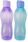 Tupperware EcoEasy Trinkflasche 750ml flieder + 750 ml blau Trinkverschluss Ökoflasche Eco+ (inkl. 1x Bio Saatgut)