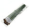 EXCEART 1 Satz Zum Malen Acrylbilder Acrylharz Water Painting Stifte Raufaserfarbe Water Painting Pen Wassermalstifte Auarellmalfarben Aquarellstifte Pinsel Malenstift Bambus Green 6 Stück