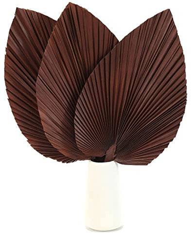 Hojas de palma secas grandes, 17 palmeras secas, abanicos para plantas de lanza para decoración bohemia en el hogar, oficina, decoración tropical de boda, decoración de mesa de fiesta, flores secas de