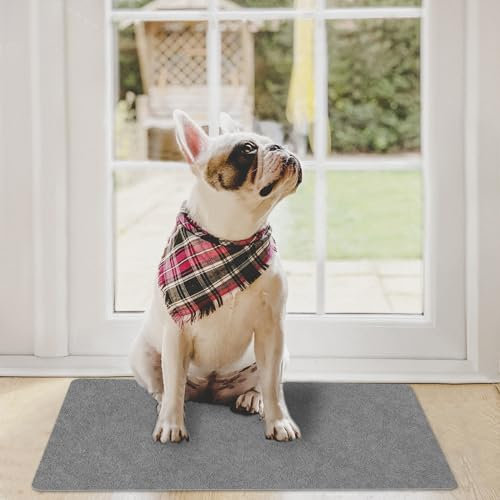 YOFTLUJU 1/10 Inch Ultra Thin Doormat Indoor, Non Slip Absorbent Resist Dirt Entrance Mat, Washable Front Door Rug, Low Profile Inside Floor Mat Doormats for Entryway, 16 x 24, Light Grey