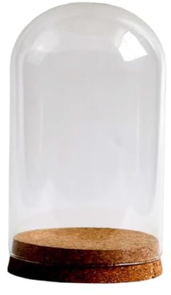 BOKIOESDE Cloche en Verre pour Fleurs stabilisées, idéale pour Les Mariages, Les Bureaux et salles d'étude (9 cm x 20 cm), Transparent, 10 x 16