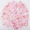100st Rosa Schleife Aufkleber, PVC Wasserfest Bow Stickers Süß Coquette Stickers Bow Vintage Schleifenaufkleber für Wasserflasche Laptop Tagebuch Telefon Tagebuch Mädchengeschenke