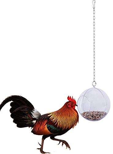 Macabolo Huhn hängen Futter Spielzeug für Hühner Feeder Fütterung behandeln Ball mit Veggie und Samen Futter für Haustier Papagei Vogel
