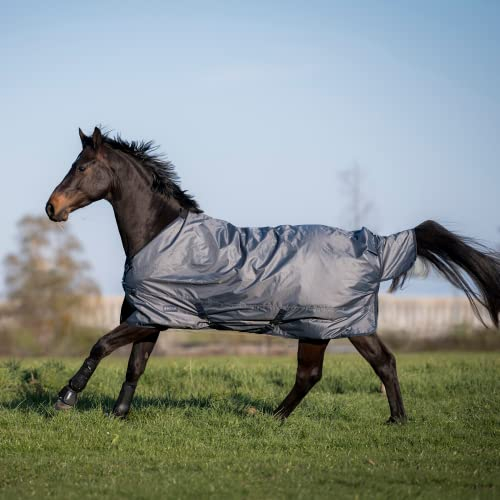 Outdoordecke WINDCHILL 50