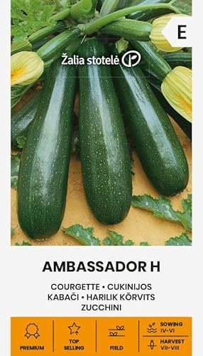 Zalia stotele | ZUCCHINI AMBASSADOR H samen | Gemüsesamen | Eine frühe Hybridsorte, wachsen buschig | Pflanze samen | Zucchini samen | Gardensamen | 1 Pack