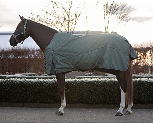 Outdoor-Decke für Pferde QHP Collection 50gr