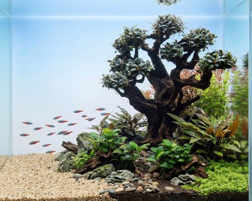 NatureHolic Bucephalandra Bonsai Baum Mugen XXL Stone Bonsai Bepflanzt - Aquarium Deko mit Aufsitzerpflanze - Polyresin Wasserneutral - Sofort Einsatzbereit - ca. 26 x 30 x 14 cm