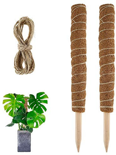 Jetcloud 2Pcs Moss Support Totem Pole, 19.6Inch/50CM Pole Moss Sticks with Garden Ties for Support Extension Coir Totem Pole for Climbing in Gardens and Indoors