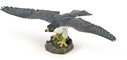 PAPO 50165 - Falco in Miniatura