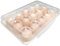 Eierbox für 15 Eier, eierbehälter, eier aufbewahrung kühlschrank, eierhalter kühlschrank, Transparent Weiß