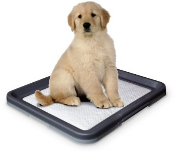Nobby 67151 Doggy Trainer L - 62.5 x 48 x 3.8 cm