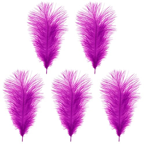 WedDecor 35cm Hot Pink Ostrich Feathers for Wedding Decoration – Real Feather Supplies for Crafts, DIY Headdresses, Dressmaking, Table Centrepieces & Fashion Accessories, 5pcs | Craft Feathers for Wedding Centerpieces, Home, Decorating Costumes, Embellishment, Art & Craft, Parties