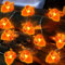 TOPJOWGA Herbst Eichel Lichterkette, 5M 50 LEDs Thanksgiving Lichterketten, Eicheln Deko Lichterketten, Halloween Herbstgirlande Deko Lichterkett, Herbst Eichel Dekoratives Licht für Party