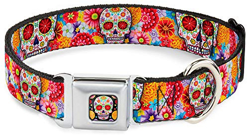Dog Collar Seatbelt Buckle Sugar Skull Starburst White Multi Color 15 to 26 Inches 1.0 Inch Wide