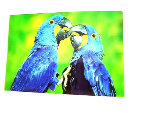 3 D Ansichtskarte Hyazinth Aras, Postkarte Wackelkarte Hologrammkarte Tier Vogel Vögel Papagei Aras