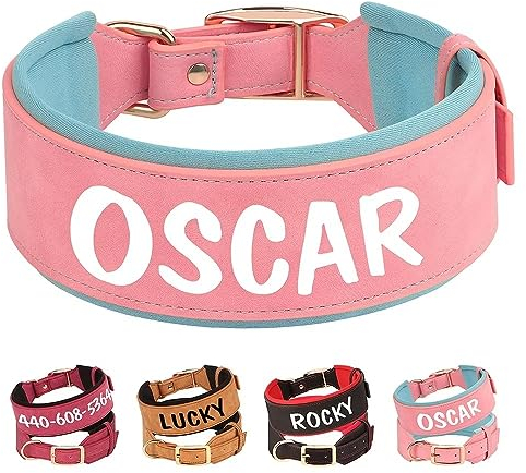 PET ARTIST Collier de Chien en Cuir pour Les Chiens de Taille Moyenne Et Grande avec Rembourrage Doux, Personnalisé avec Nom, Rose Fille, L