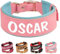 PET ARTIST Collier de Chien en Cuir pour Les Chiens de Taille Moyenne Et Grande avec Rembourrage Doux, Personnalisé avec Nom, Rose Fille, L