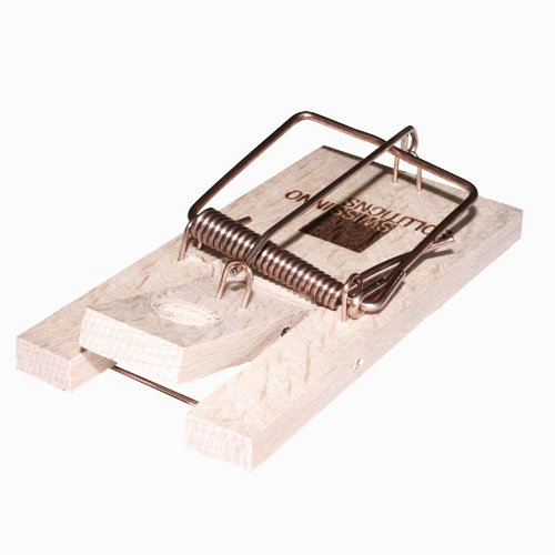 Swissinno SuperCat Mausefalle 2 x 2 Stück