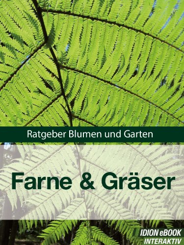 Farne & Gräser - Ratgeber Blumen und Garten