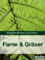 Farne & Gräser - Ratgeber Blumen und Garten