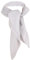 TigerTie Damen Chiffon Nickituch in silber grau einfarbig unicolor - Halstuch Größe 50 cm x 50 cm