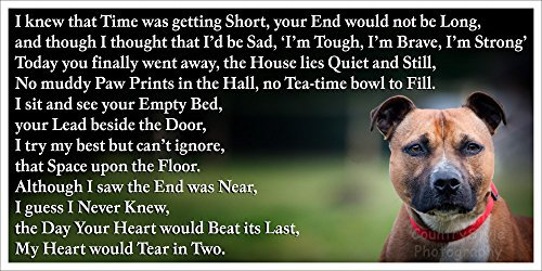 Staffordshire Bull Terrier Staffy sympathy bereavement pet dog loss Flexible Fridge Magnet Memorial - That Space upon the Floor