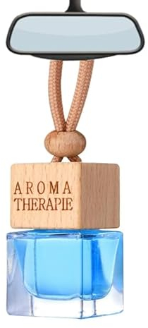 HhBdy Autoerfrischer Auto Parfüm Aromatherapie Lufterfrischer Auto Parfüm Duft Auto Innenraum Hängeflasche Duftanhänger Auto Duftflakon Auto zum Anhängen Auto-Aromatherapie für Autos und Häuser