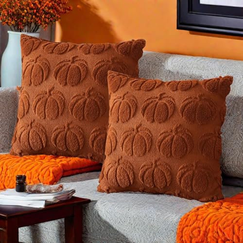 Générique Deco Automne Housse Coussin Automne, Citrouille Housse de Coussin 45x45 cm Pumpkin Decoration Automne, Automne Decoration, Autumn Decoration, Déco Automn (Lot de 2-A)