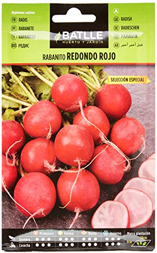 Semillas Batlle Rabanito Red. Rojo Sel. ESPECIAL