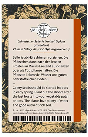 Chinesischer Sellerie 'Kintsai' (Apium graveolens) 1000 Samen Stangensellerie Bleichsellerie