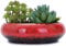Macetas redondas grandes de cerámica esmaltada para suculentas de 7.3 pulgadas con agujero de drenaje, macetas de bonsái decorativas para jardín, soporte de cactus (rojo)