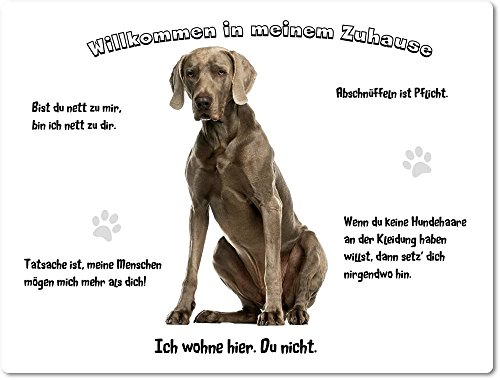 Merchandise for Fans Blechschild/Warnschild/Türschild - Aluminium - 15x20cm - - Willkommen in Meinem Zuhause - Motiv: Weimaraner - 03