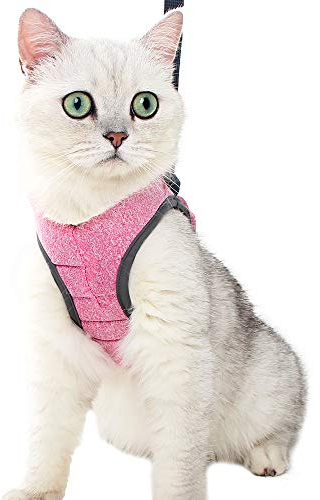 Katzengeschirr und Leine Ultraleicht für Fluchtschutz Verstellbarer weicher Netzschritt in gepolsterter Polsterung Laufweste Jacke für Kätzchen Haustiere Welpe Rosa