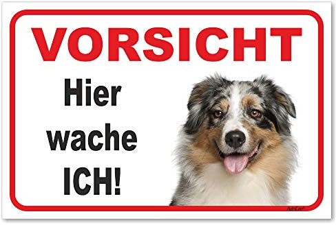 AdriLeo Schild - Vorsicht Australian Shepherd Blue-Merle - Hier wache ich - (15x20cm) / Aussie Achtung Hund Wachhund robust langlebig UV-beständig wetterfestes Warnschild