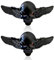3D Metallschädel Autoaufkleber, 2 Pcs 3D Schädel Zink Legierung Metall Auto Aufkleber Schädel Emblem Abzeichen Auto Styling Aufkleber Zubehör für Auto Motorrad (Schwarz)