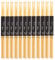 12 Paires Baguettes de Batteries 5A Baguettes en Bois érable Drumsticks de Batterie Professionnelles avec Une Bonne Prise en Main