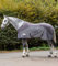 Waldhausen Fleece/Fliegendecke Comfort, grau, 135 cm