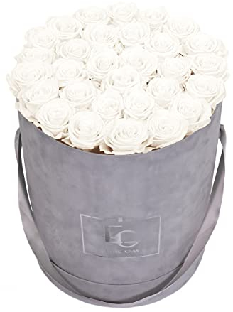EMMIE GRAY CLASSIC INFINITY ROSENBOX | VELVET GRAY | Runde Flowerbox - Infinity Rosen in grauer Samtbox - 1-3 Jahre Haltbarkeit - Echte Rosen, die jahrelang blühen - Haltbare Rosen (L, Pure White)