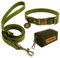 Wisedog Hundehalsband und Leine Set Combo: Einstellbare langlebige Haustier Halsbänder mit Hundeleinen für kleine mittlere große Hunde, enthält einen Bonus von Poop Bag Holder (L, Olivgrün)