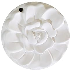 Diffuseur D'huile Essentielle en plâtre Diffuseur Parfum Maison Diffuseur de Parfum Diffuseur en plâtre Aucune Huile ajoutée DIY Salon Chambre Salle de Bains Voiture Diffuseur de Plâtre Artisanat