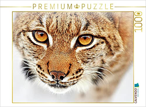 CALVENDO Puzzle Luchs 1000 Teile Puzzle quer | 1000 Teile Lege-Größe 64 x 48 cm Foto-Puzzle für glückliche Stunden