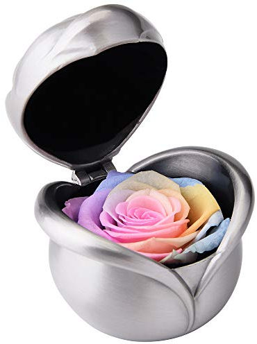 Rosa Eterna, Rose Stabilizzate, Fiore Mai Appassito, Artificiali Fresca Conservato, con Confezione Regalo, Regalo per Festa della Mamma San Valentino Anniversario di Matrimonio (Arcobaleno Rose)