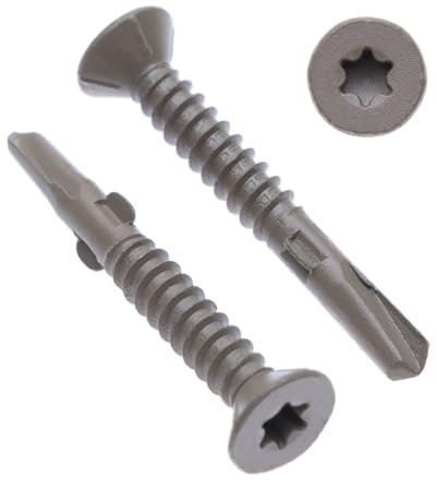 Vis à Métal 5.5mm Autotaraudeuses Torx à Tête Plate Autoperceuse (lot de 250) Utilisation Extérieure Avec Protection Anti-corrosion C4 pour Tôles/Toitures/Fenêtres Fixation DIN7504 P (5.5mm x 50mm)