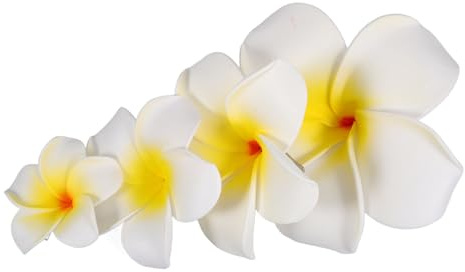 MALUGOGO Hawaiianische Blumen-Haarspangen, schönes tropisches Accessoire für Frauen, Haardekoration, 4 Stück, leichtes Schaumstoff-Plumeria-Design, geeignet für Abschlussball und Strandpartys