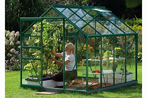 Vitavia Venus Gewächshaus 5000 ESG 3 mm 5 m², dunkelgrün